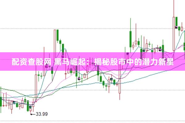 配资查股网 黑马崛起：揭秘股市中的潜力新星