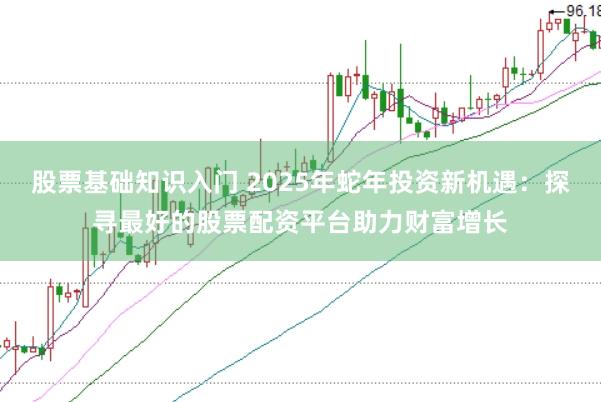 股票基础知识入门 2025年蛇年投资新机遇：探寻最好的股票配资平台助力财富增长