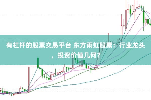 有杠杆的股票交易平台 东方雨虹股票：行业龙头，投资价值几何？