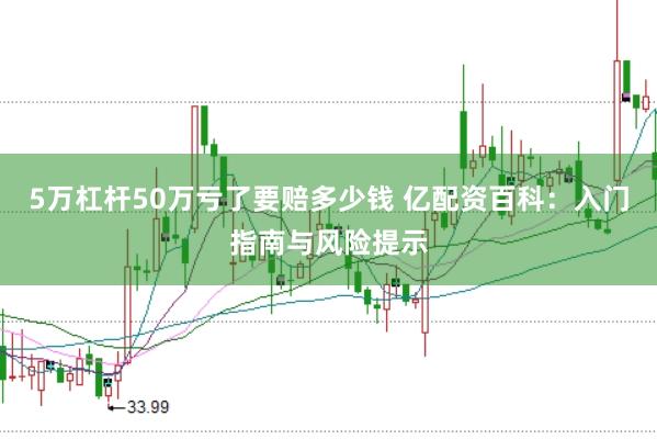 5万杠杆50万亏了要赔多少钱 亿配资百科：入门指南与风险提示