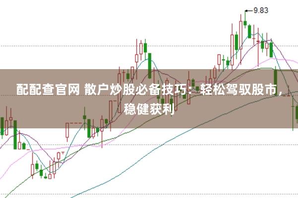配配查官网 散户炒股必备技巧：轻松驾驭股市，稳健获利