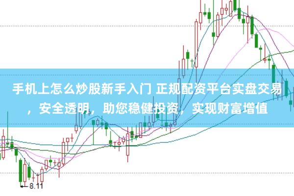 手机上怎么炒股新手入门 正规配资平台实盘交易，安全透明，助您稳健投资，实现财富增值