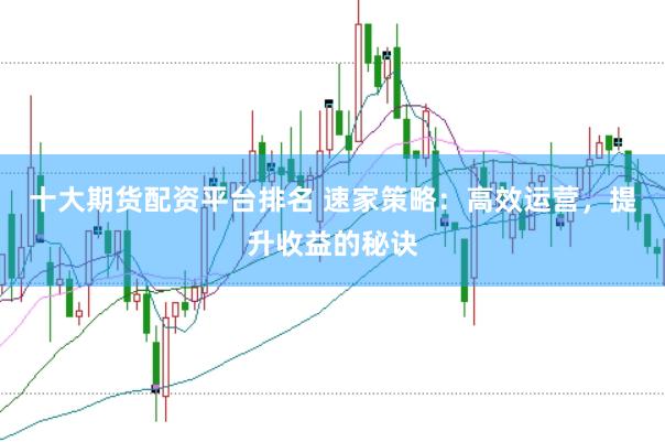 十大期货配资平台排名 速家策略：高效运营，提升收益的秘诀